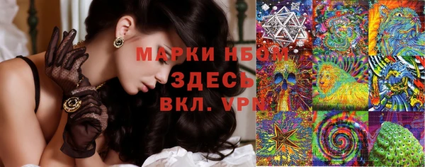 гашик Белоозёрский