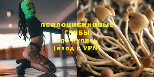 гашик Белоозёрский