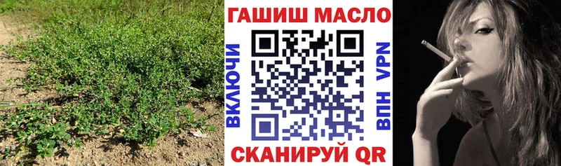 Дистиллят ТГК Wax Завитинск
