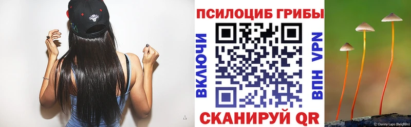 Псилоцибиновые грибы мицелий  как найти   Завитинск 