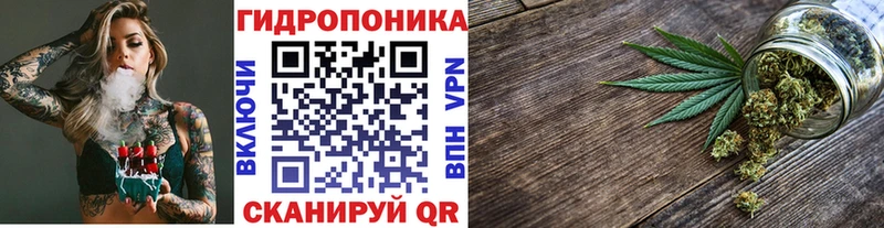 МАРИХУАНА семена Завитинск